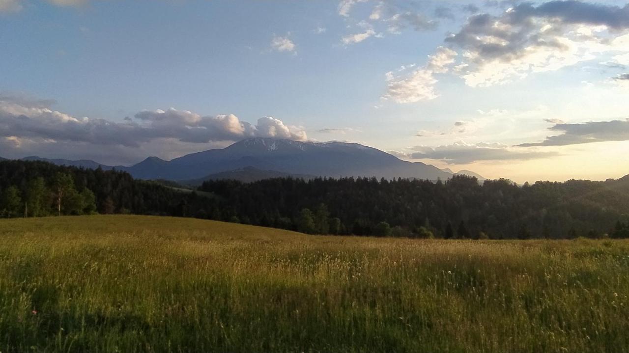 Kmetija Pecnik Apartamento Prevalje Exterior foto