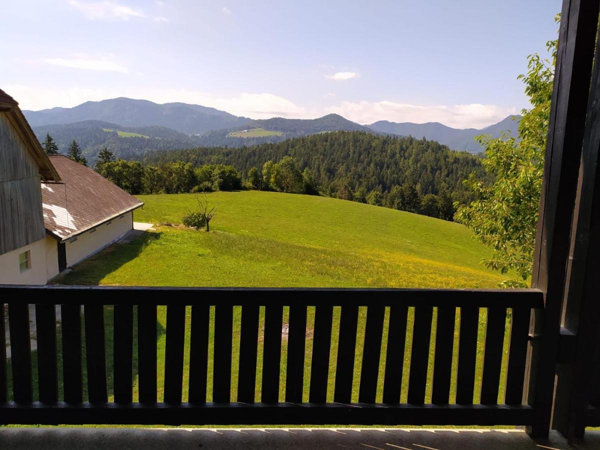 Kmetija Pecnik Apartamento Prevalje Exterior foto