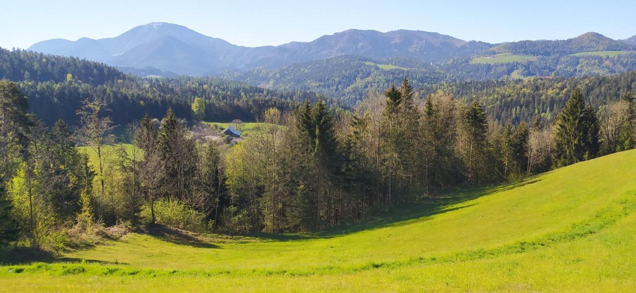 Kmetija Pecnik Apartamento Prevalje Exterior foto