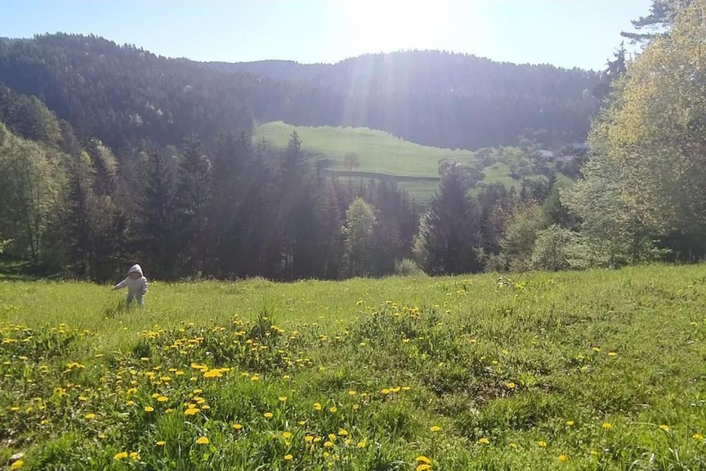 Kmetija Pecnik Apartamento Prevalje Exterior foto