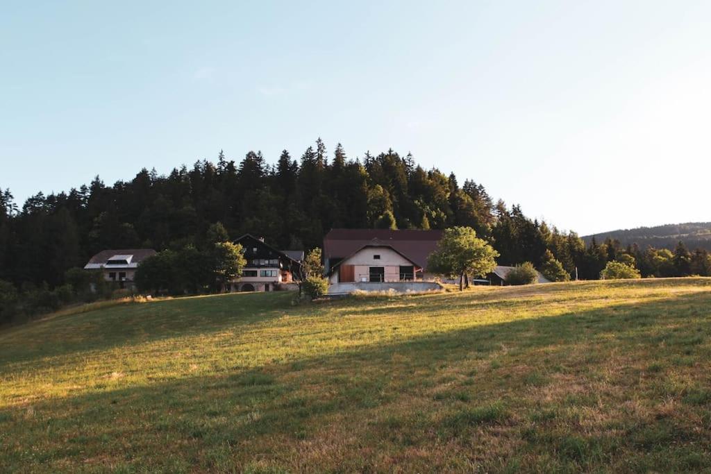 Kmetija Pecnik Apartamento Prevalje Exterior foto