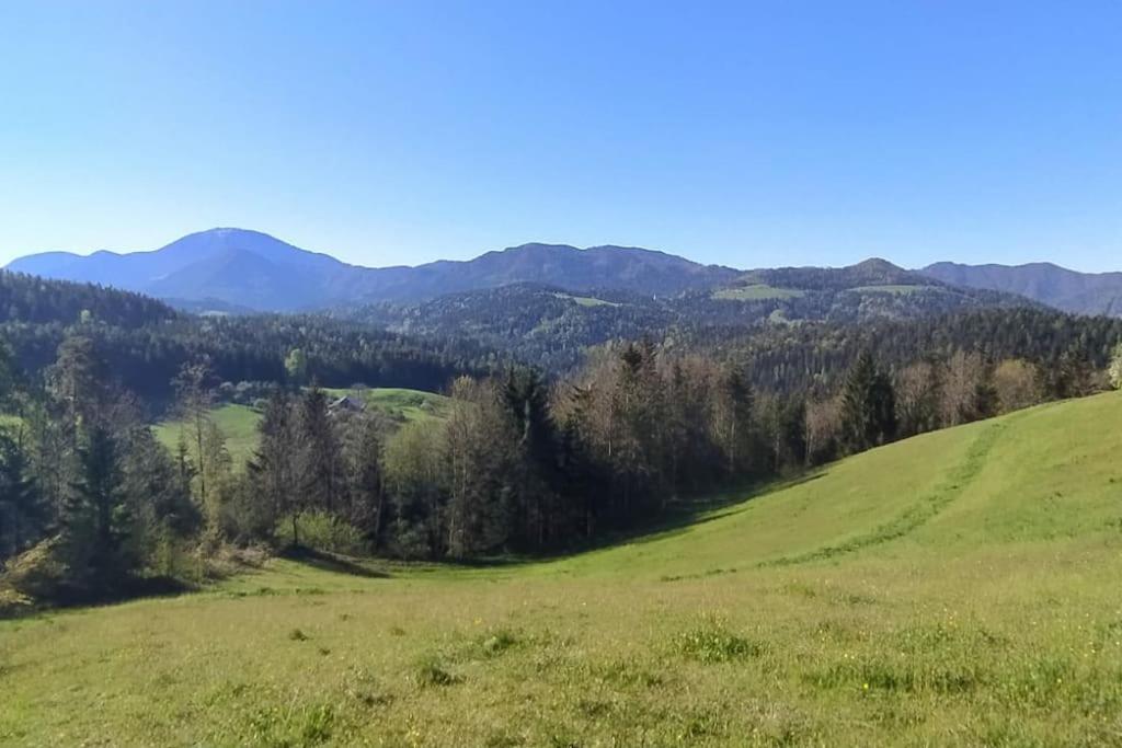 Kmetija Pecnik Apartamento Prevalje Exterior foto